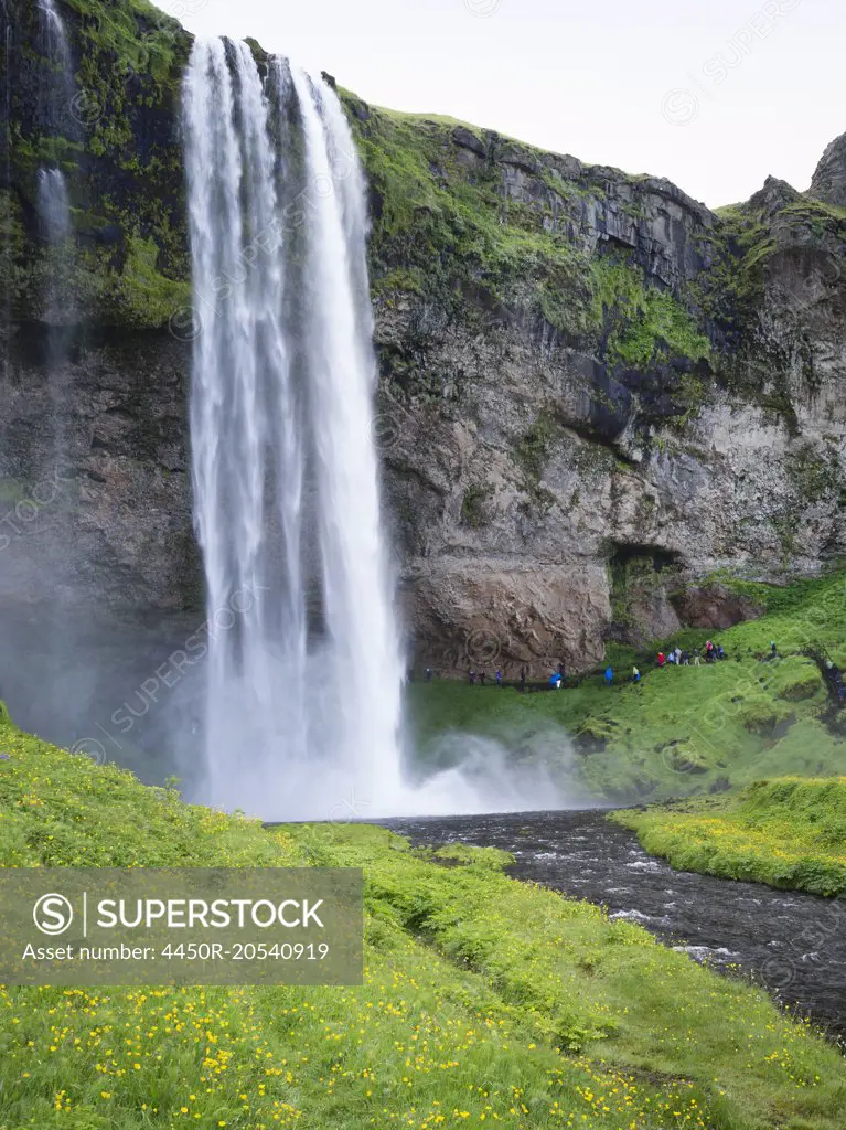 A waterfall cascade over a sheer cliff.