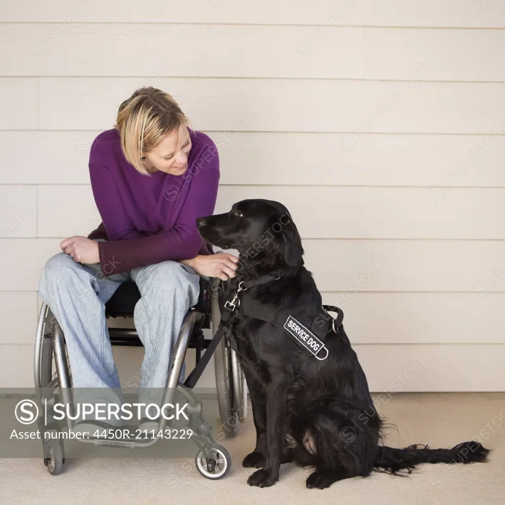 A mature woman wheelchair user stroking her black labrador service dog and making eye contact with the dog.