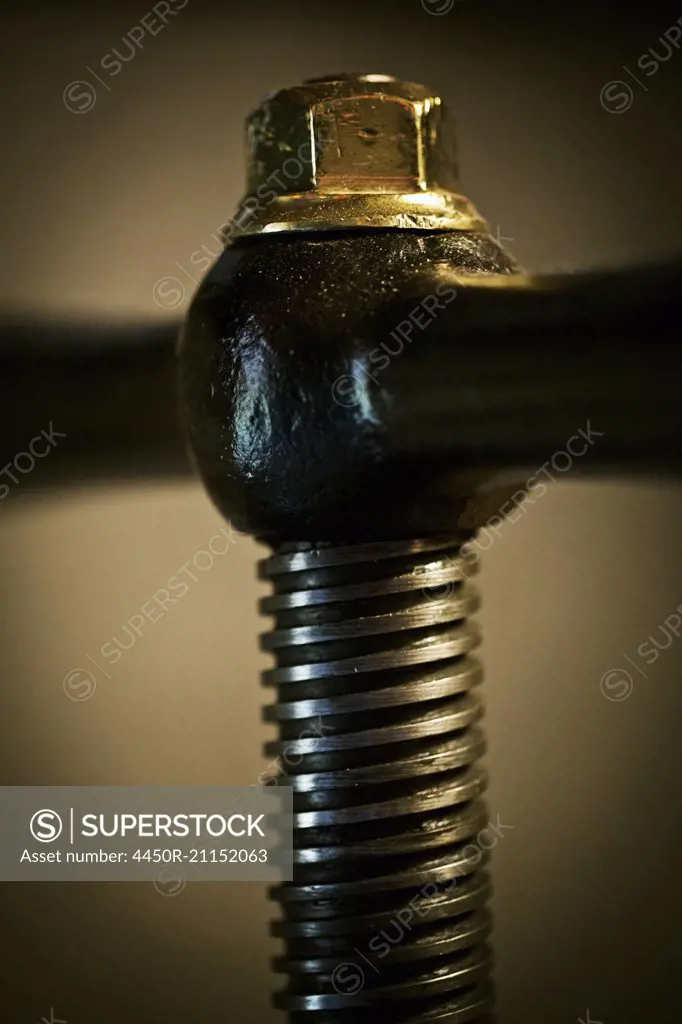 The wooden handle and thread of a screw press.