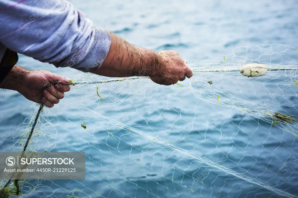 A fisherman pulling the net out of the water.