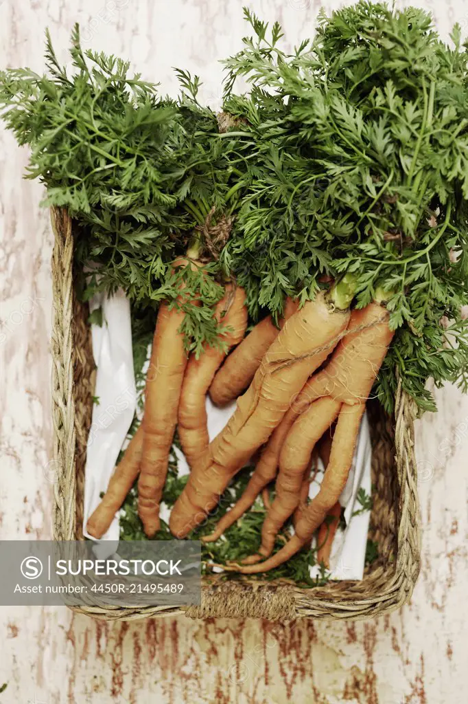 A shot of a bundle of carrots in a basket on a wooden surface, seen from above.