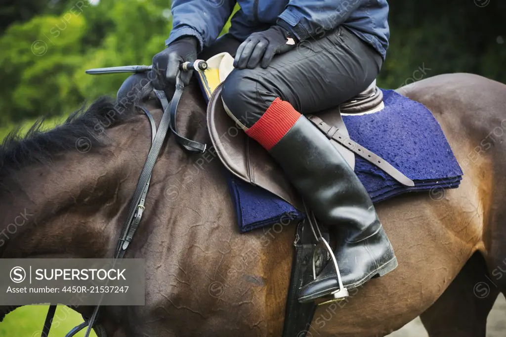 Close up of a rider wearing black riding boots, sitting on a bay horse.