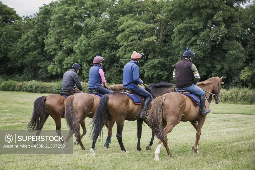 A string or group of riders on thoroughbred horses riding along a path. Racehorces in training. Routine exercise.