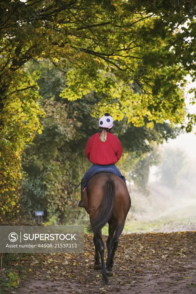 Rear view of a woman wearing a vest, riding a brown horse on a forest path.