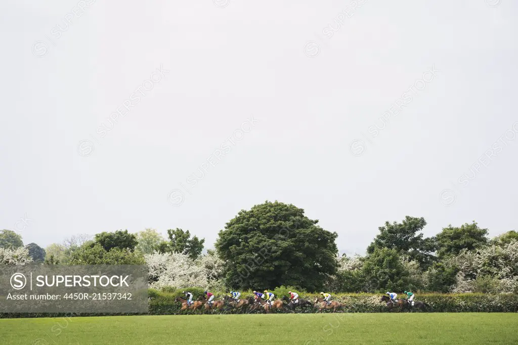 Group of riders on racehorses galloping during a steeplechase across the countryside in spring.