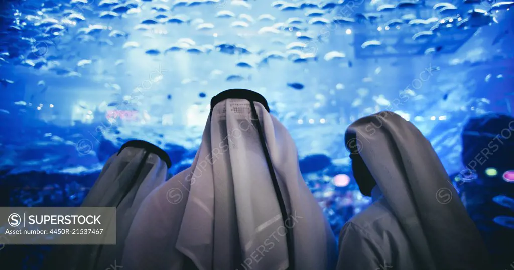 Three men wearing traditional Arab dress looking at a tank full of fish in an aquarium.