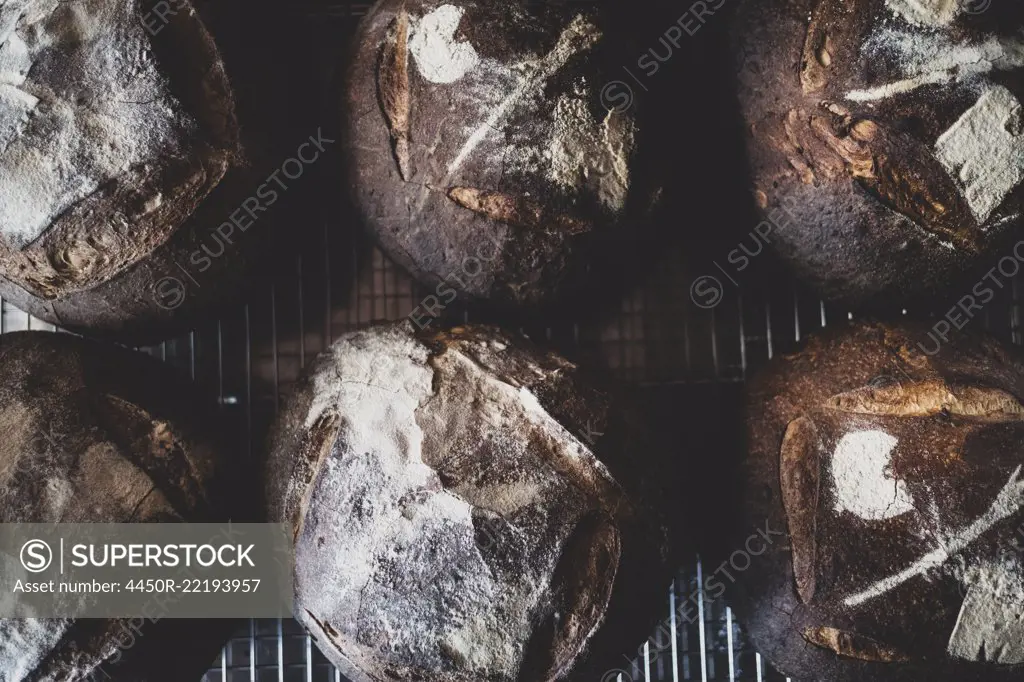 High angle close up of freshly baked loaves of bread.