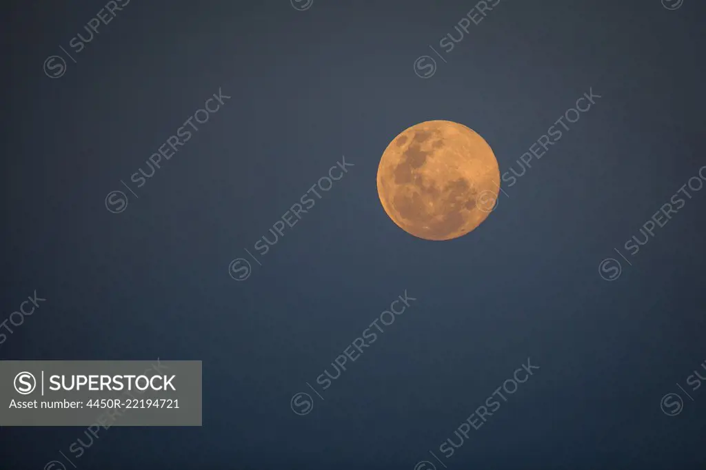 A full moon at dusk, orange-pink moon against dark-blue background