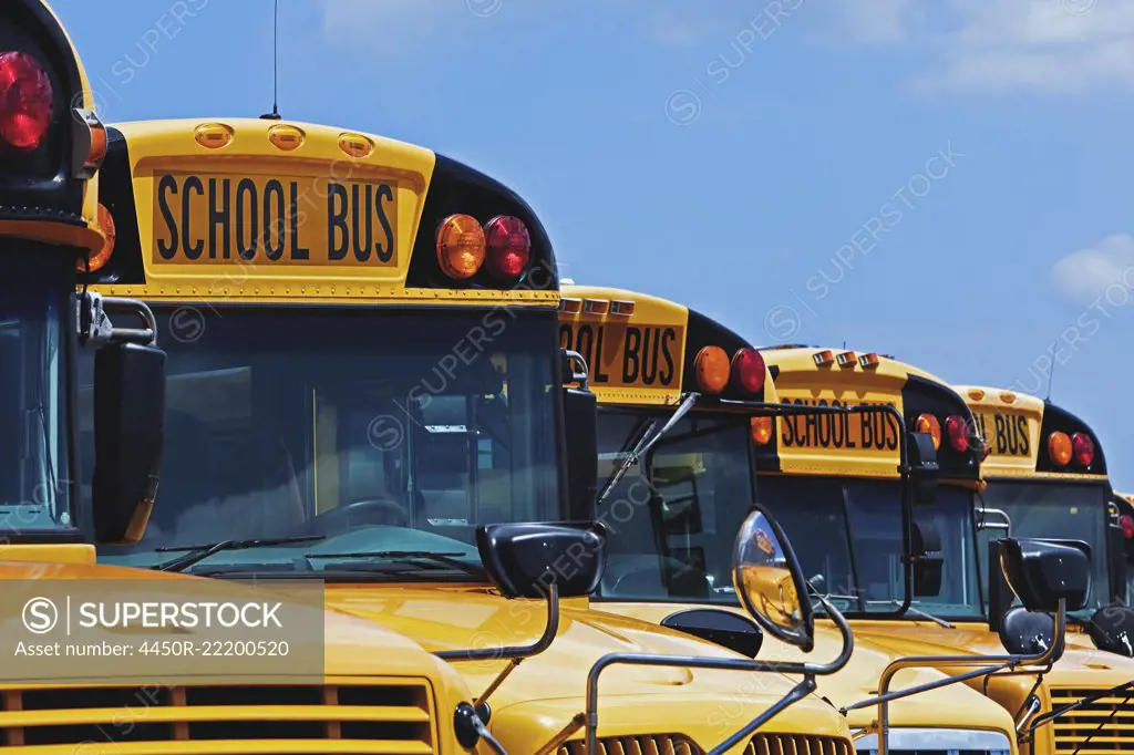 Yellow school buses parked diagonally