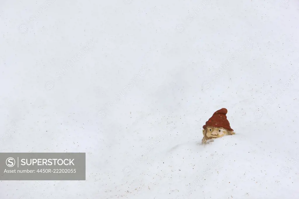 Garden Gnome in Snow