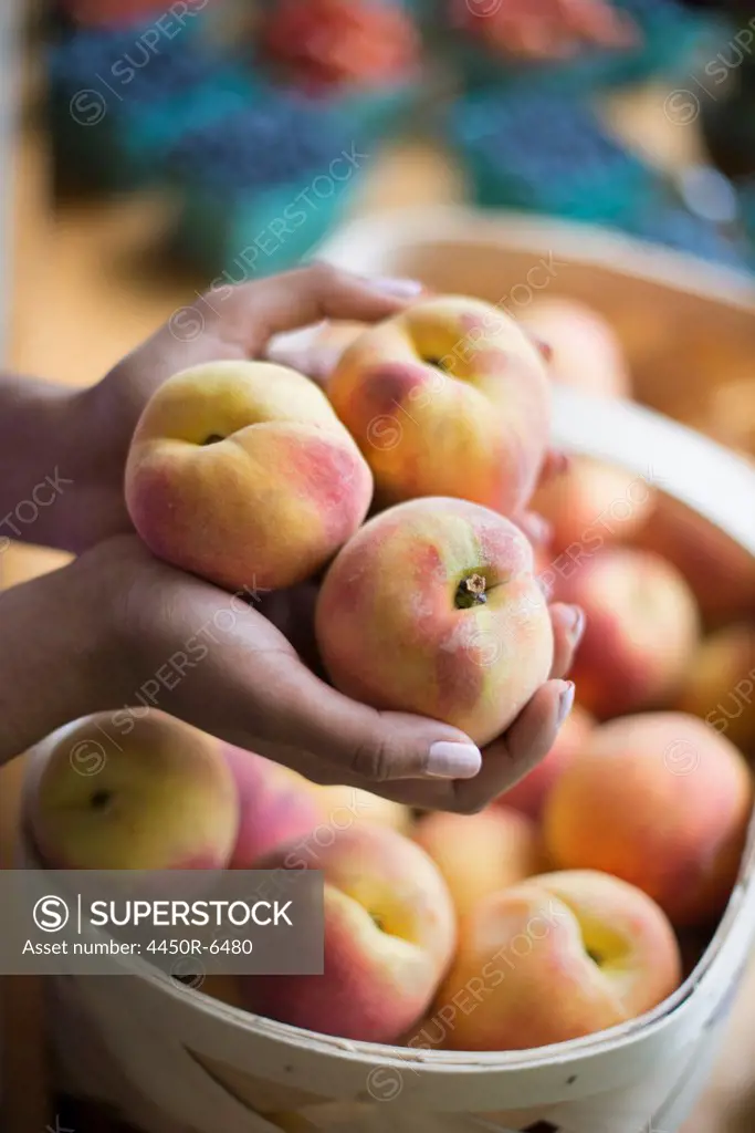Organic fruit displayed on a farm stand. A person holding hands full of peaches.