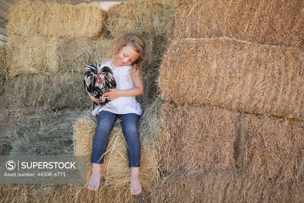 Young girl sitting on a hay bale, holding a chicken in her arms.