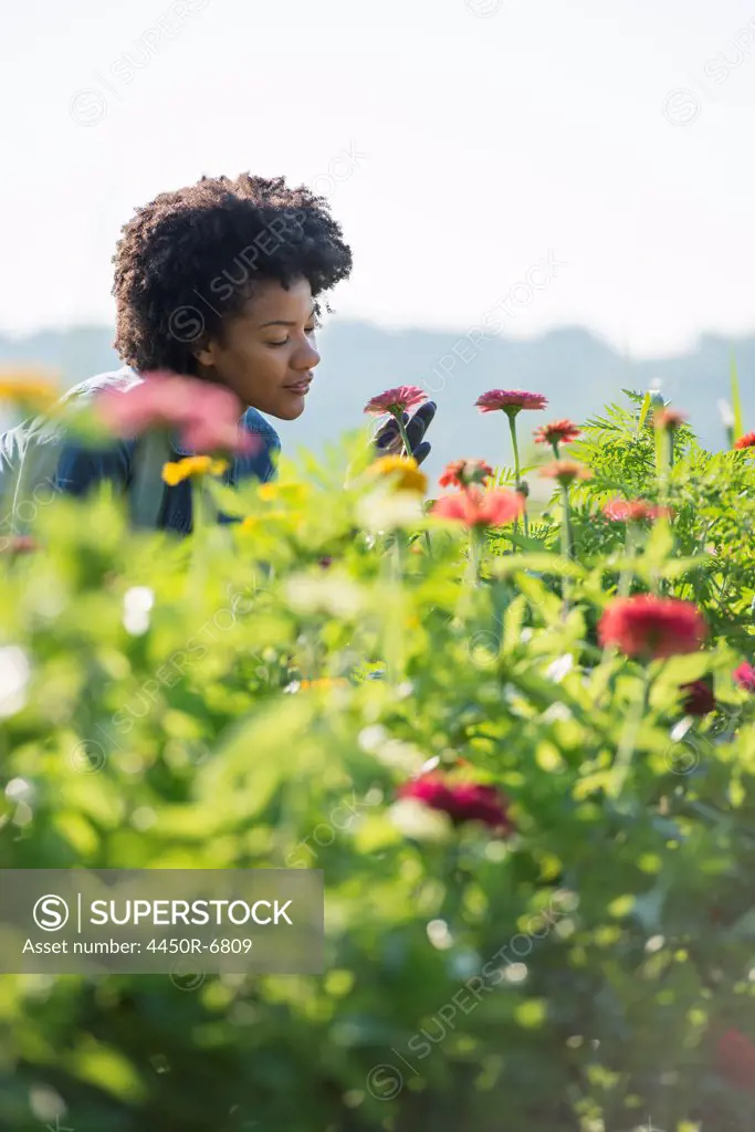 A woman standing among the flowers growing in the fields.