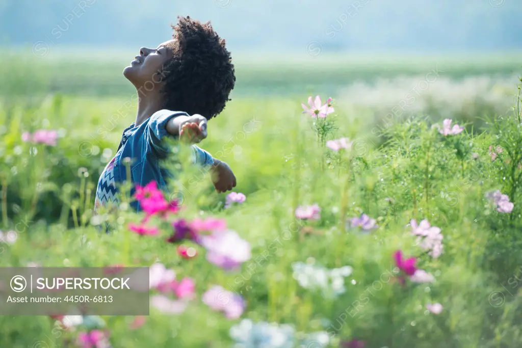 A woman standing among the flowers with her arms outstretched.  Pink and white cosmos flowers.