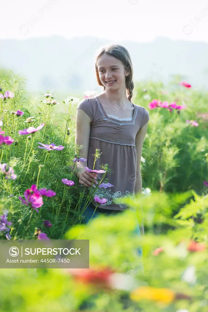 Summer on an organic farm. A young girl in a field of flowers.