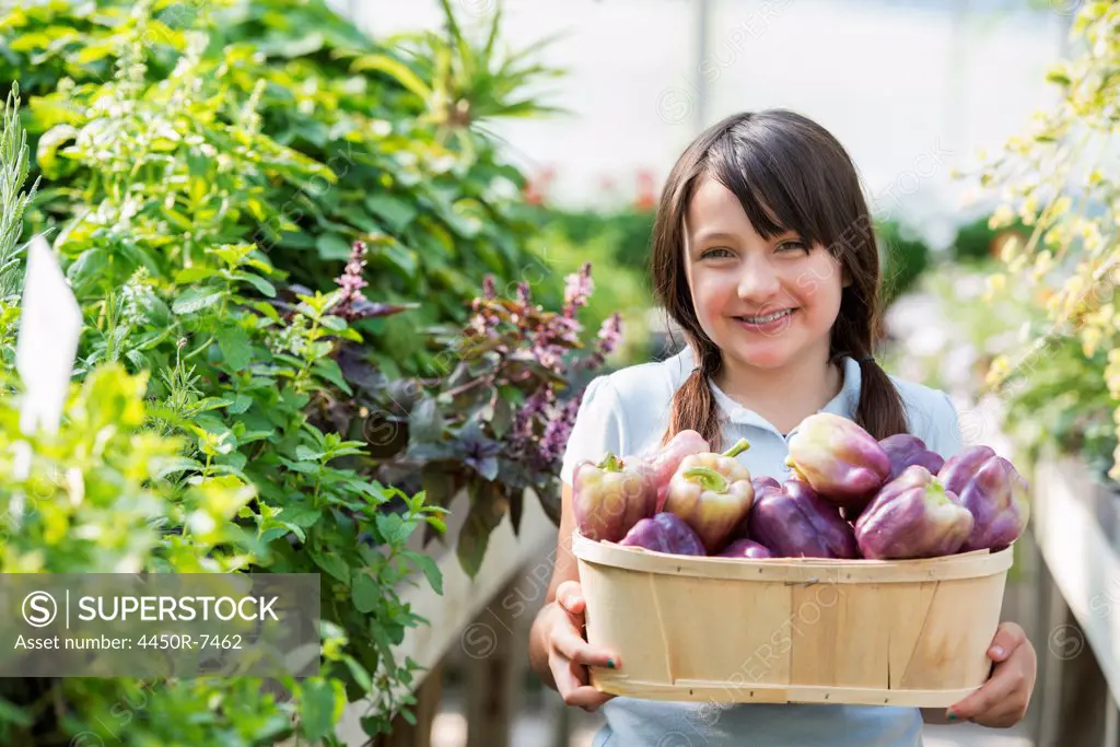 Summer on an organic farm. A girl holding a basket of fresh bell peppers.