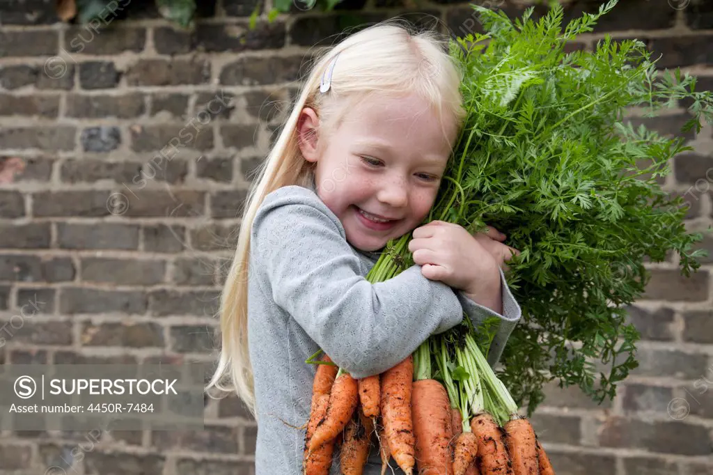A young girl holding a large bunch of carrots.