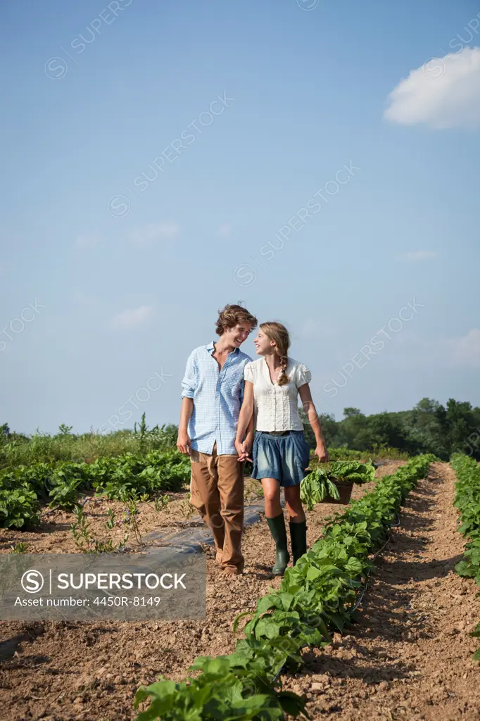 A young couple, girl and boy walking along a row of vegetable plants in a field, holding hands. Maryland, USA. 7/1/2012
