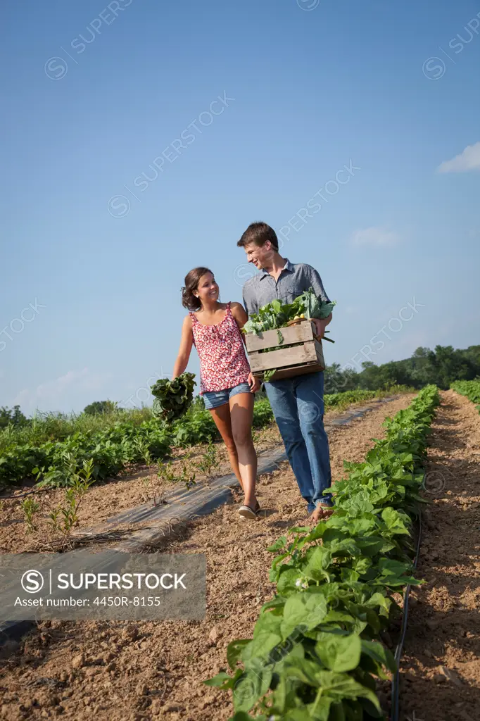 A boy holding a large wooden box of fresh vegetables, harvested from the fields. Maryland, USA. 7/1/2012
