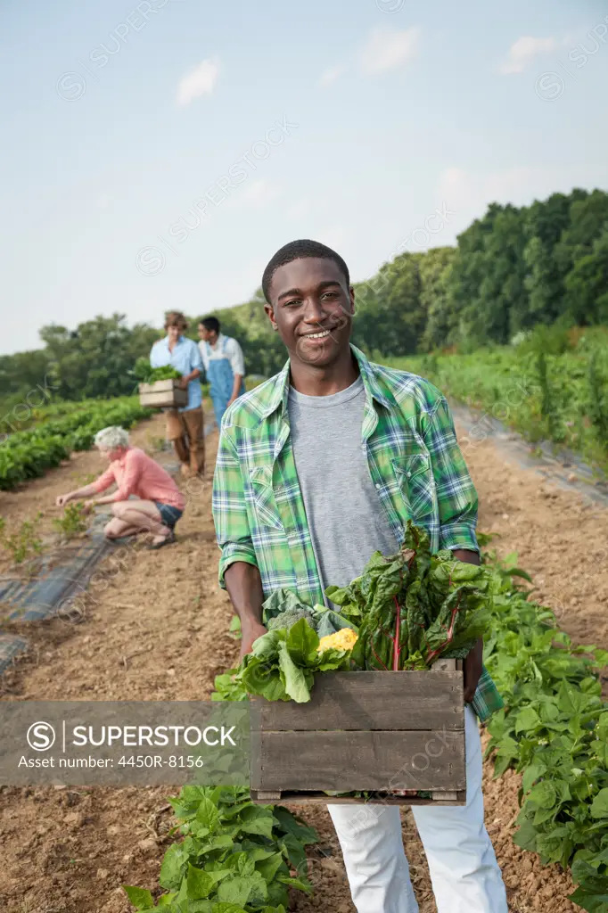 A boy holding a large wooden box of fresh vegetables, harvested from the fields. Maryland, USA. 7/1/2012