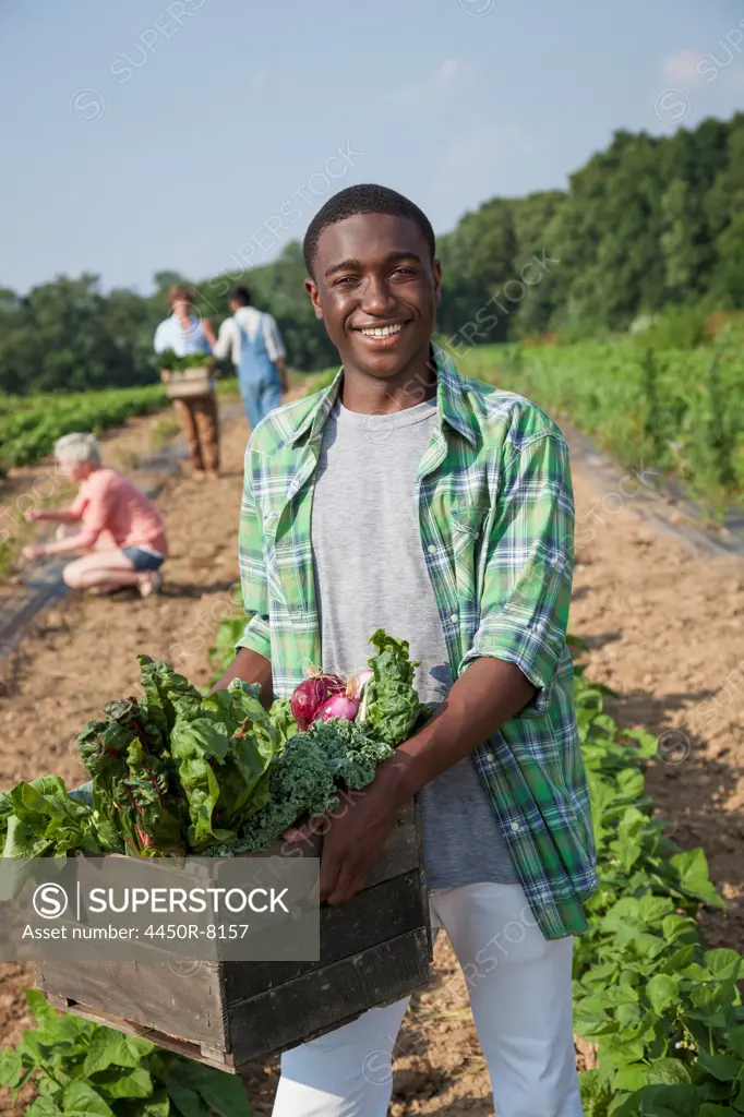 A boy holding a large wooden box of fresh vegetables, harvested from the fields. Maryland, USA. 7/1/2012