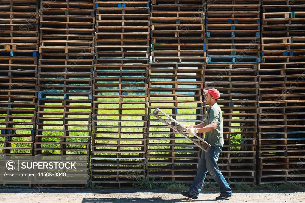 A man carrying a wooden plant frame or pallet in front of a huge stack of objects. New York state, USA. 3/24/2012