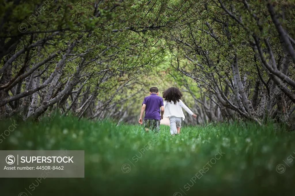 Two children running along a natural woodland tree branch tunnel. Utah, USA. 5/3/2012