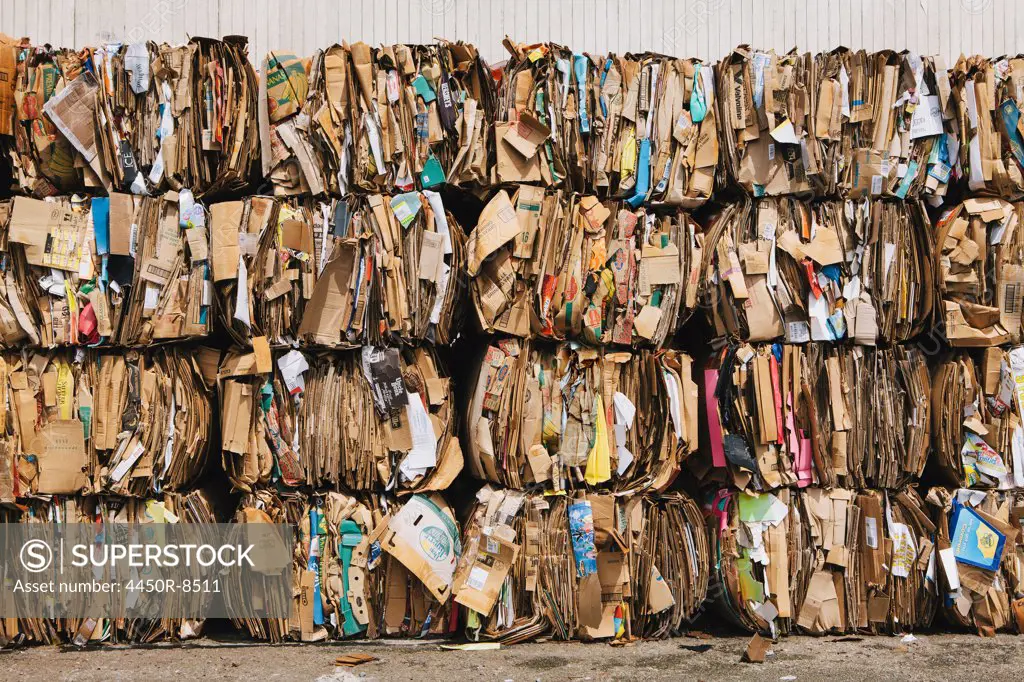 Recycling facility with bundles of cardboard sorted and tied up for recycling. Washington state, USA. 5/23/2012