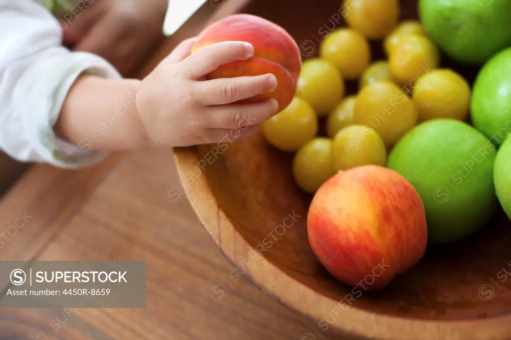 A small child, a one year old girl, grasping fruit from a bowl. New York state, USA. 8/6/2012
