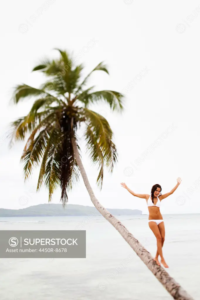 A woman balancing on a leaning palm tree in Las Galeras, Samana Peninsula, Dominican Republic. Samana Peninsula, Dominican Republic. 4/6/2011