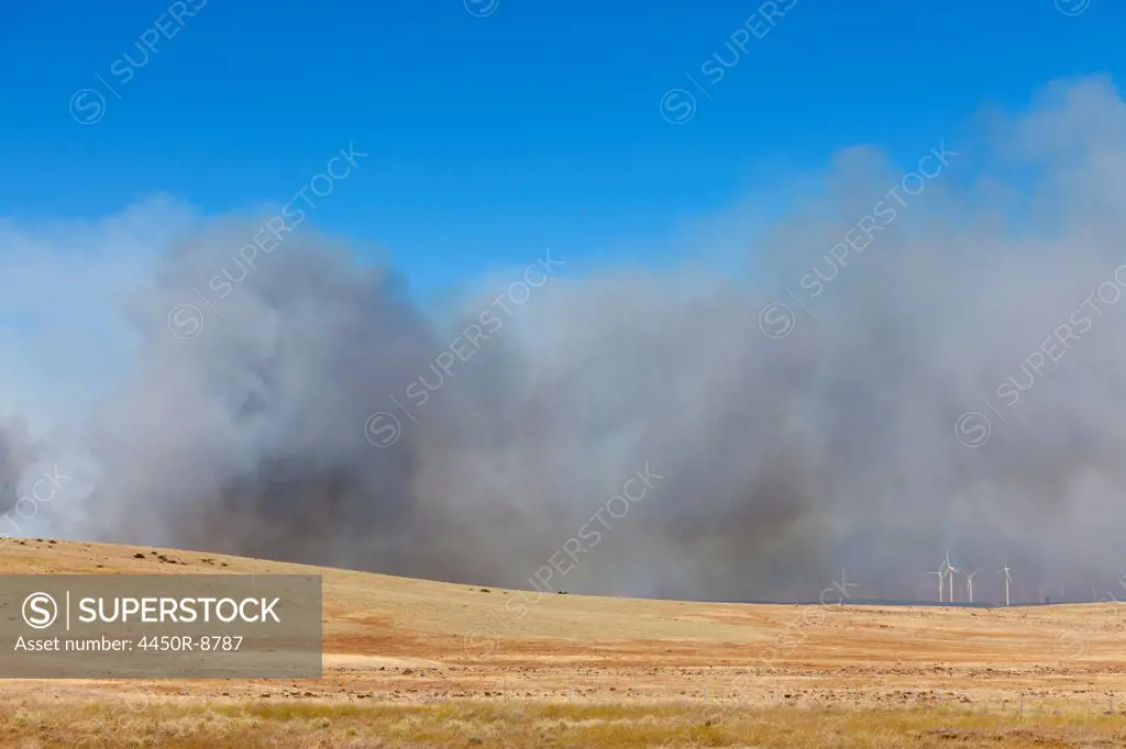 A large forest fire near Ellensburg in Kittitas county, Washington state, USA. Washington state, USA. 8/14/2012