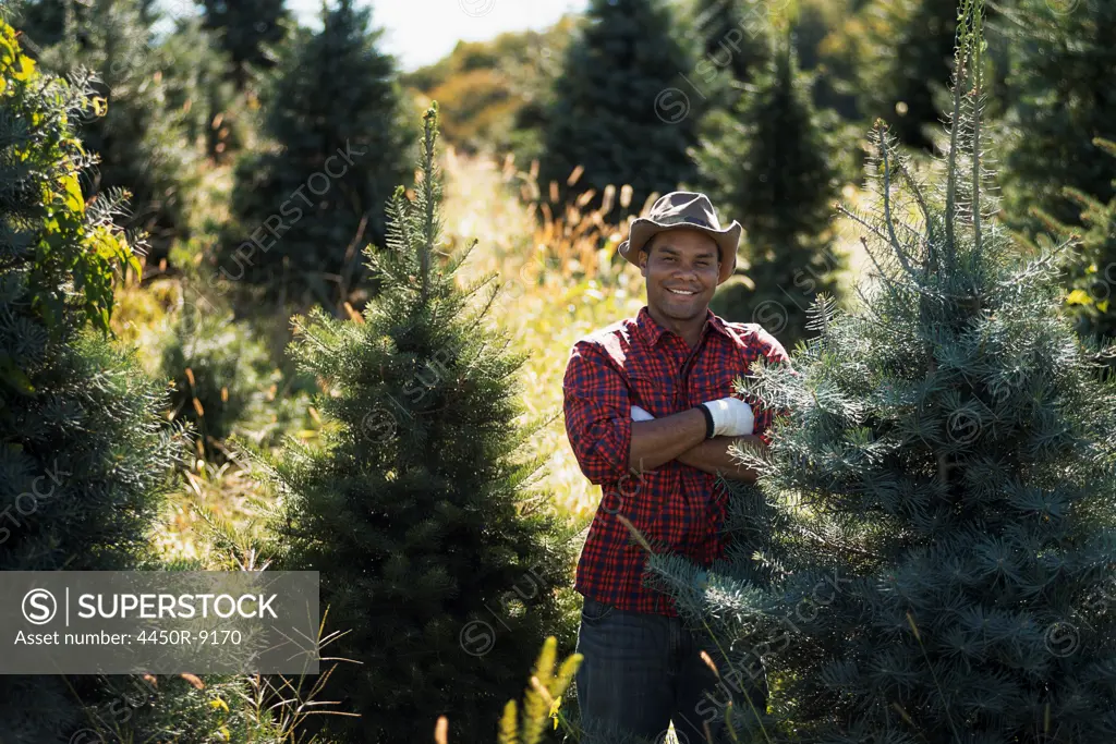 A man wearing a checked shirt and large brimmed hat in a plantation of organic Christmas trees. Woodstock, New York, USA. 11/9/2012