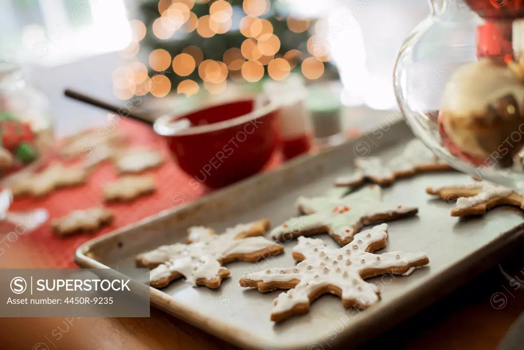 Baking tray of organic homemade Christmas cookies in the shapes of icicles and stars. Woodstock, New York, USA. 9/9/2012
