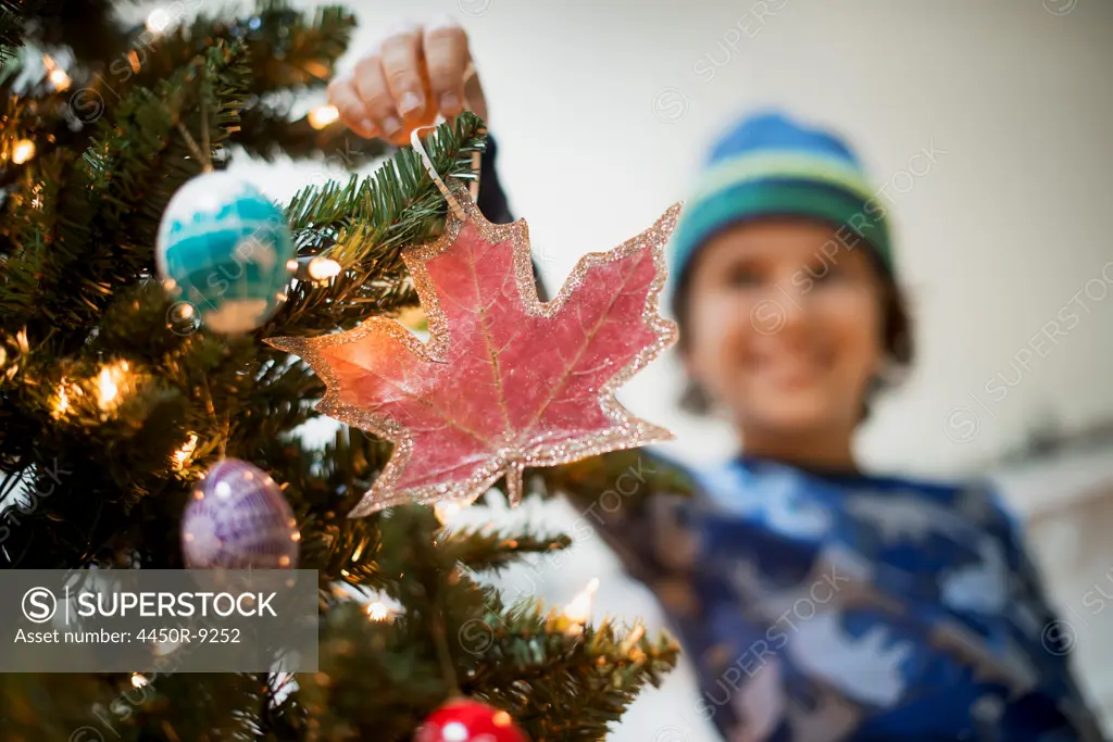 A young boy holding Christmas ornaments and placing them on the Christmas tree. Woodstock, New York, USA. 9/9/2012