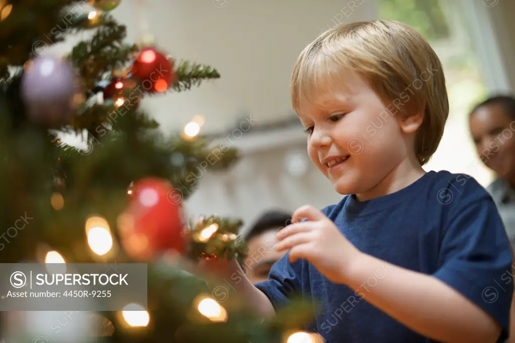 A young boy holding Christmas ornaments and placing them on the Christmas tree. Woodstock, New York, USA. 9/9/2012