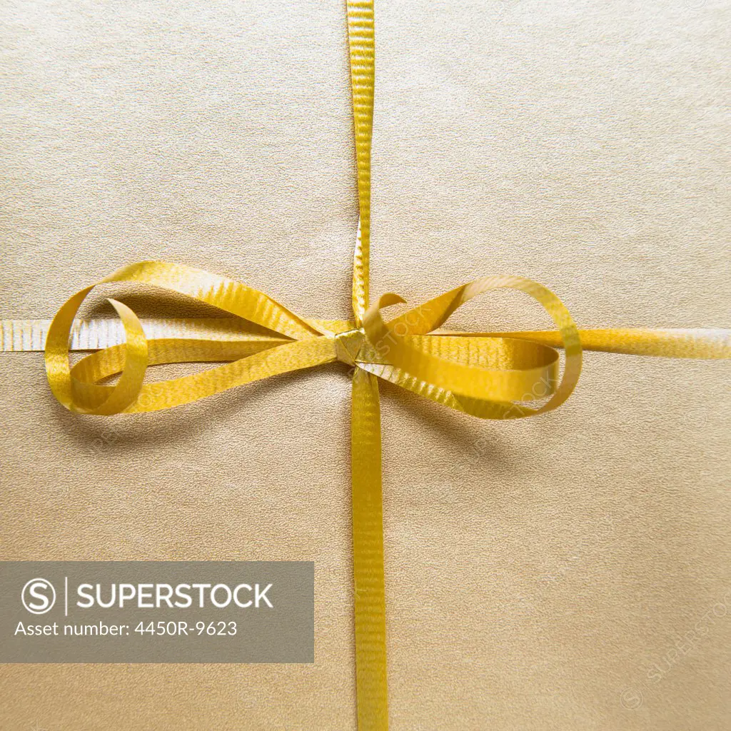 Close up of a tied bow and gold ribbon from a wrapped gift. 10/26/2012