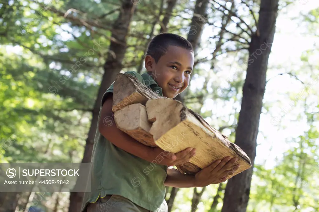 Summer. A boy carrying firewood through the woods. Woodstock, New York, USA