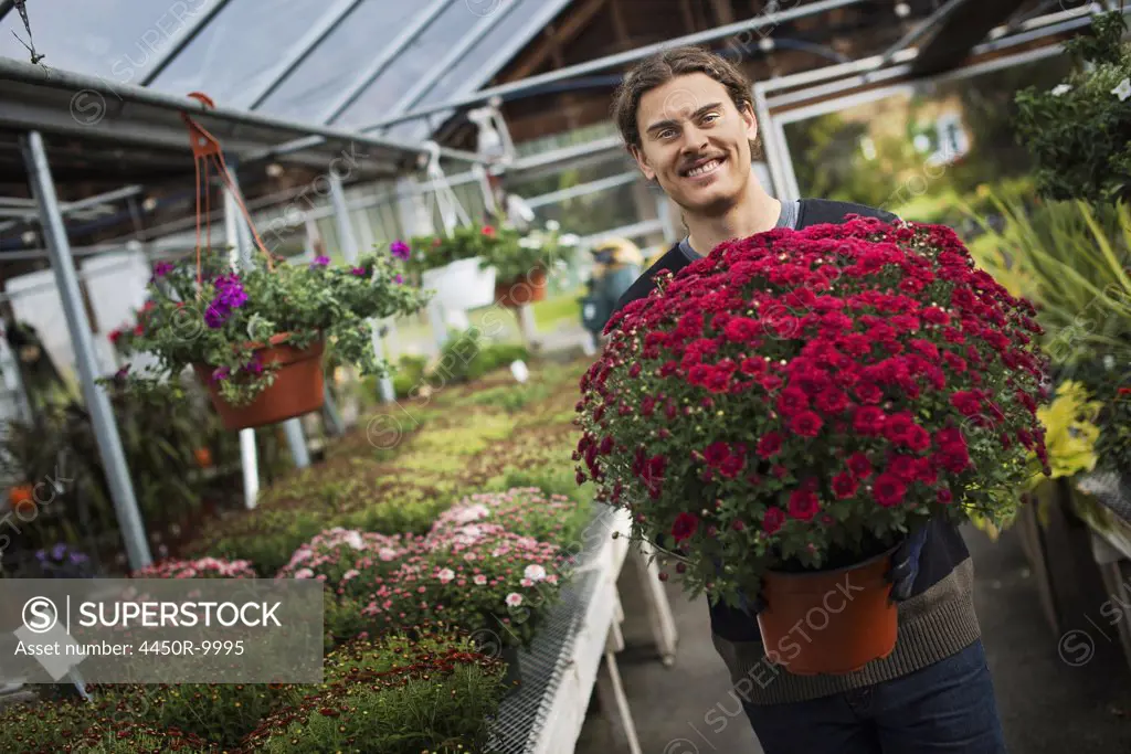 Organic Farmer at Work. A young man holding a large pot of flowering plants. Accord, New York, USA