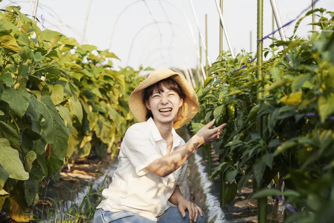 Japanese woman wearing hat standing in vegetable field, picking fresh peppers, smiling at camera.