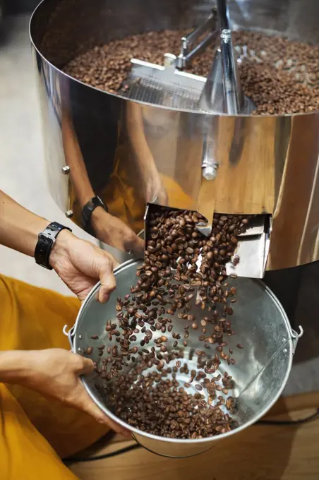 High angle close up of person holding metal bucket with freshly roasted coffee beans.