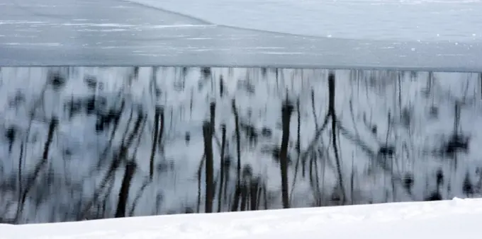 Trees reflect in the icy water of Lake Kawakguchi, Japan . December 2, 2011