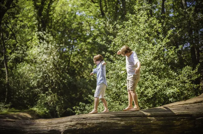 Two boys camping in the New Forest. Walking along a log above the water, balancing with their arms outstretched.  Hampshire, England. 08/06/2013