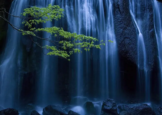 Long exposure of waterfall with branch of Maple tree with green leaves in foreground.