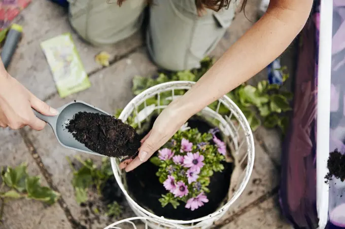 A woman planting up a basket with flowers, and adding soil around the base of the plant.