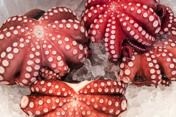 High angle close up of red octopus on ice at a fish market.