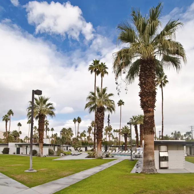 Motel and Palm Trees