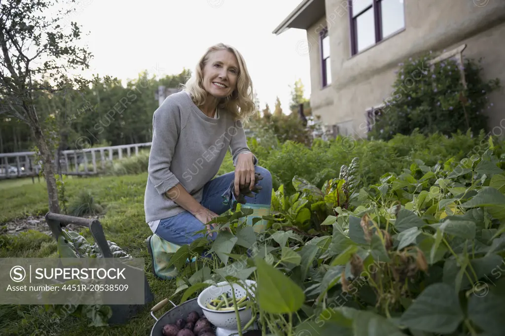 Portrait smiling woman harvesting vegetables in garden