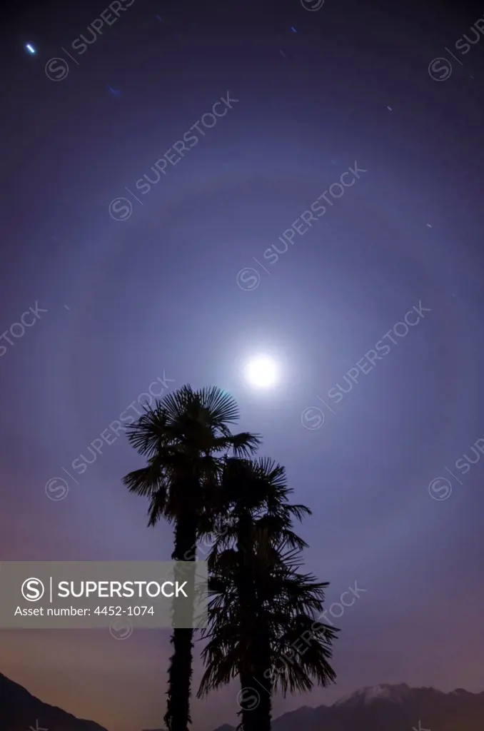 Palm Trees and Full Moon with Halo in Ticino, Switzerland.