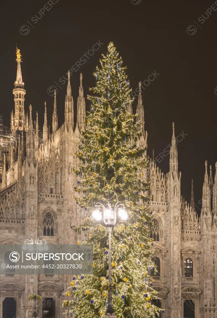 Milan Cathedral with a Christmas Tree at Night in Lombardy, Italy.