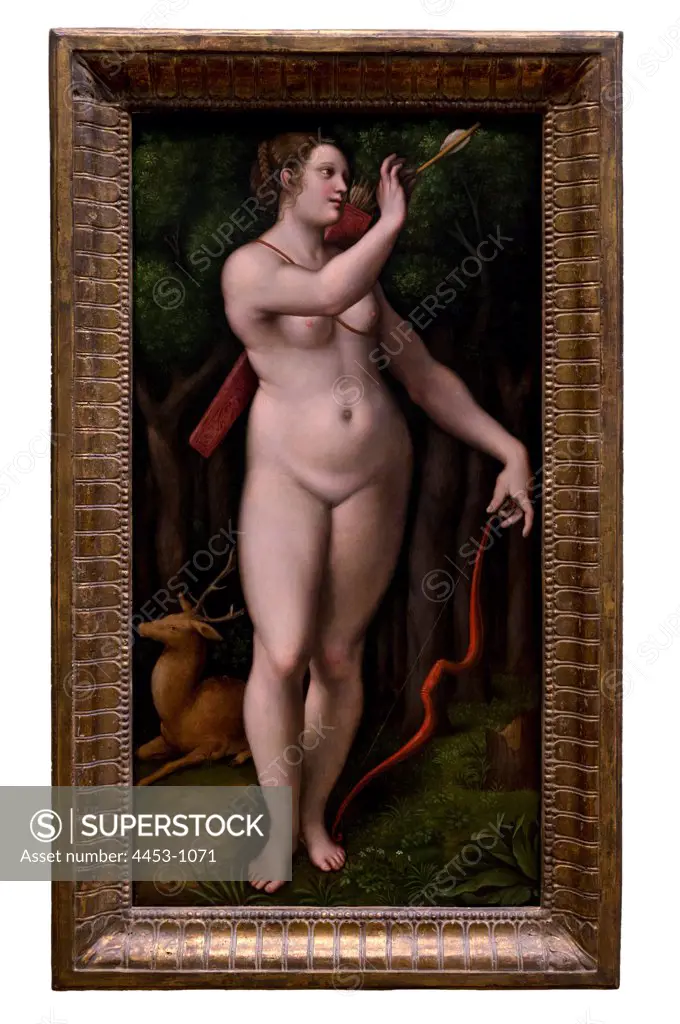 Diana by Giampietrino or Giovanni Pietro Rizzoli ( 1495 - 1553) ; Oil on wood.